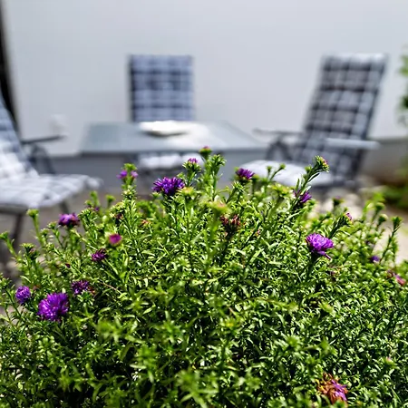 Apartamento 2 - Dünenblick *