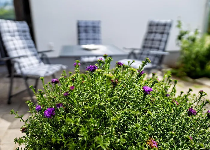 公寓 2 - Duenenblick *